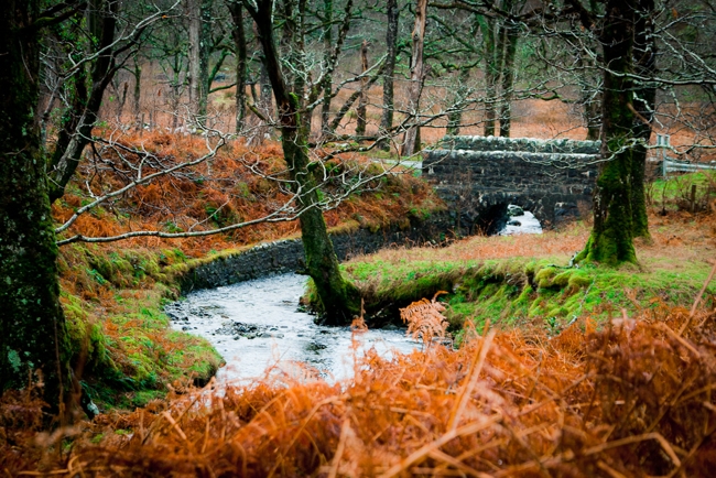 connemara fairytale5