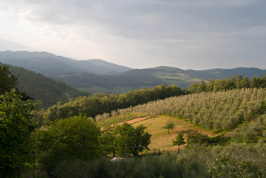 Tuscan landscape