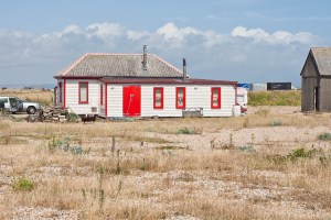Dungeness