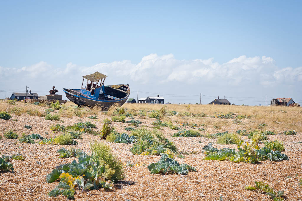 Dungeness