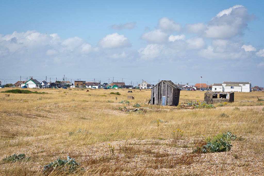 Dungeness