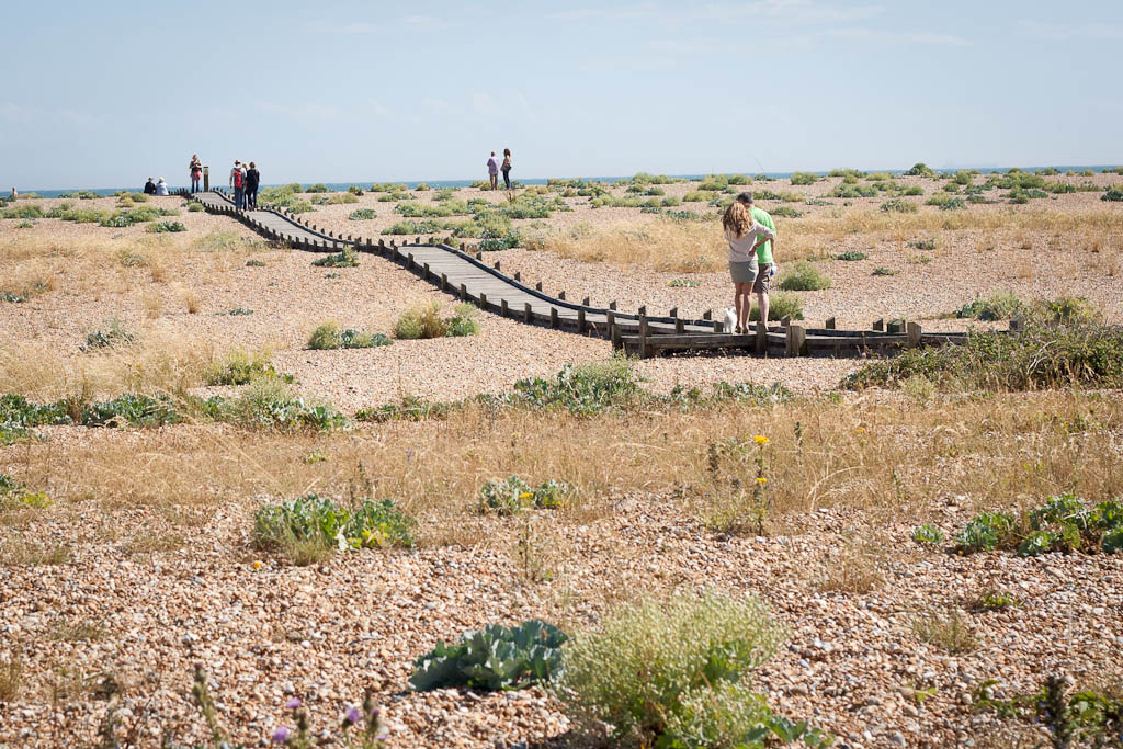 Dungeness