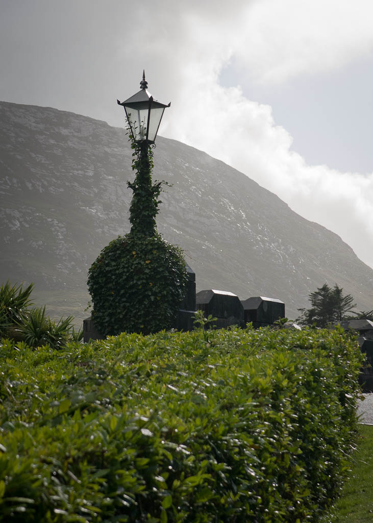 conemara z zosia-0038