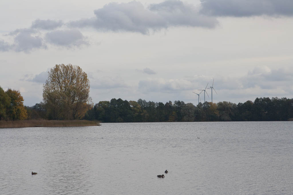 Wałcz - Lake Zamkowe
