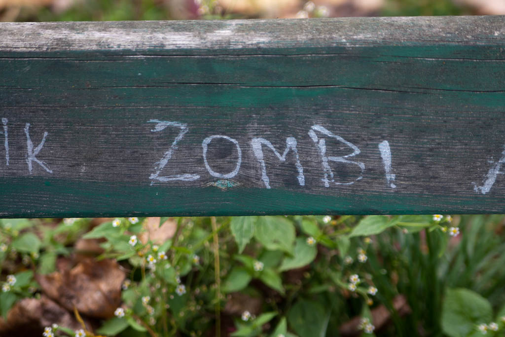 Zombie sign