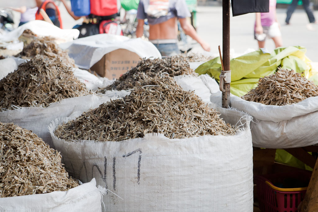 Manila Divisoria Market