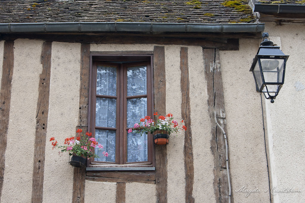 Provins - window with potted flowers