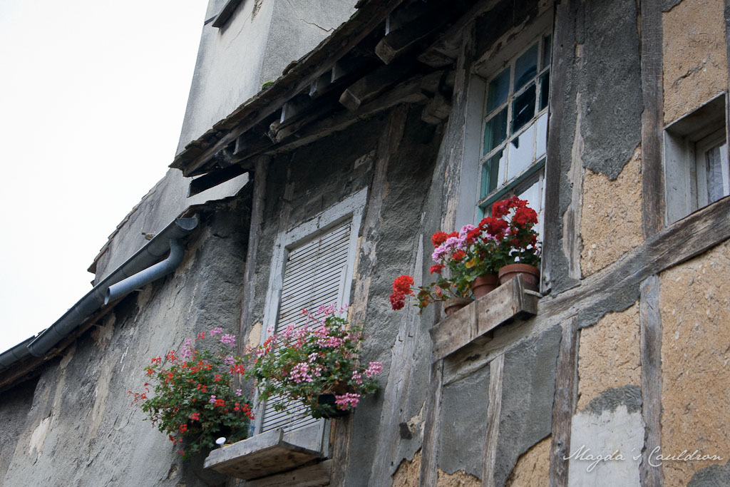 Provins - window with potted flowers