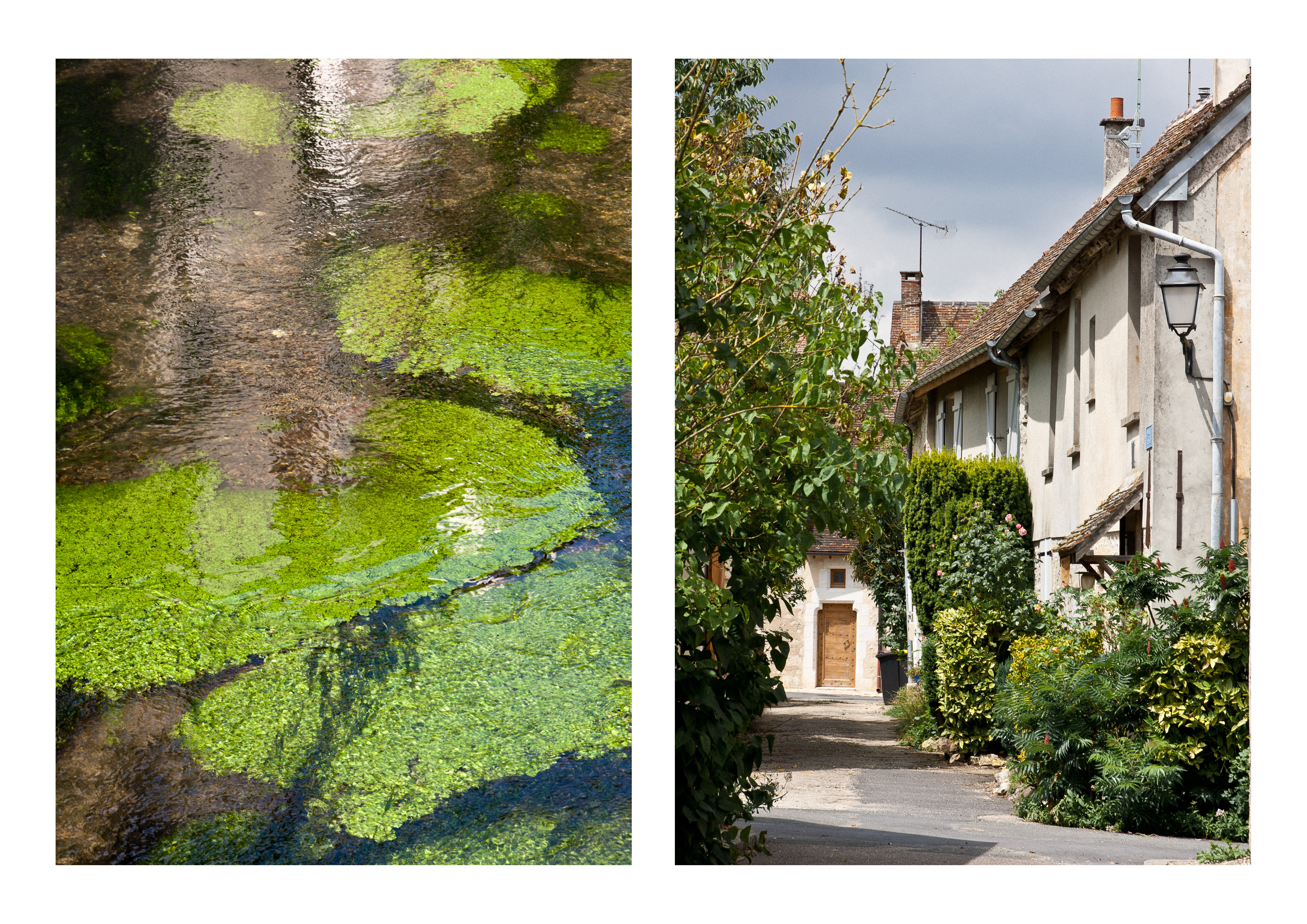 Provins - lovely green