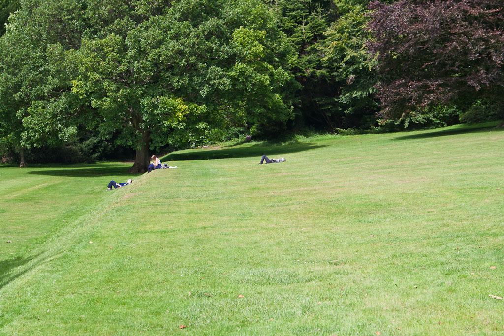 Killruddery House Gardens