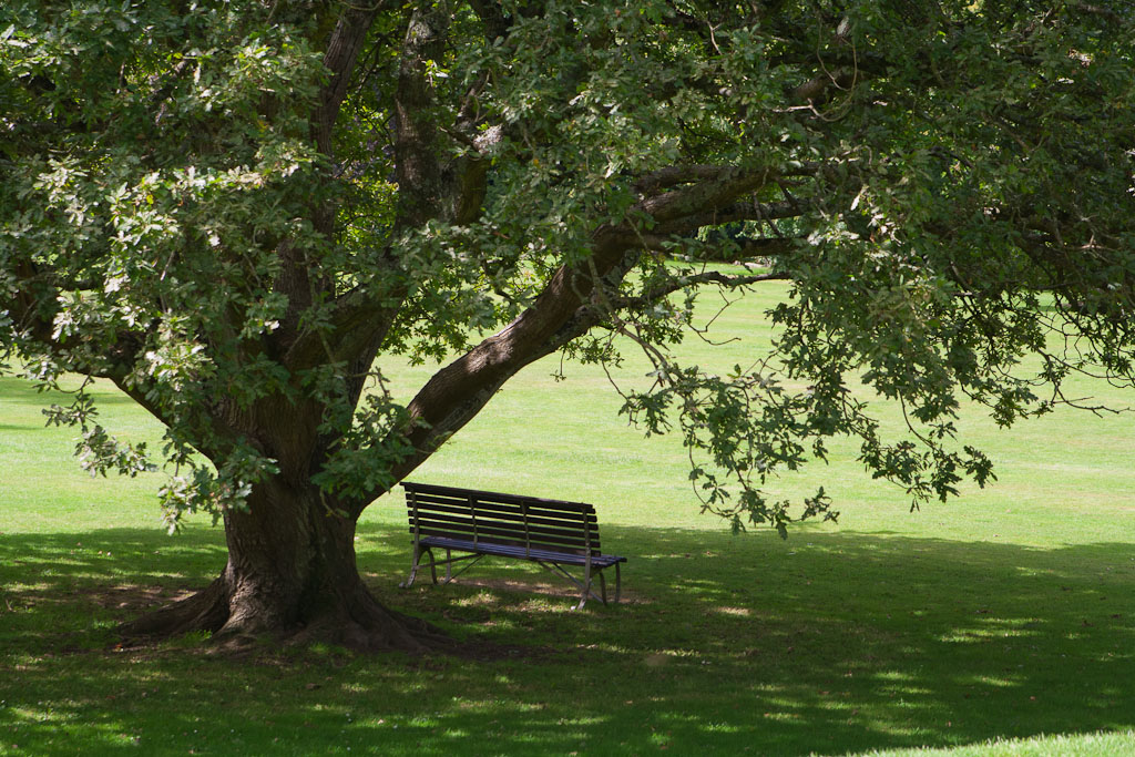 Killruddery House Gardens