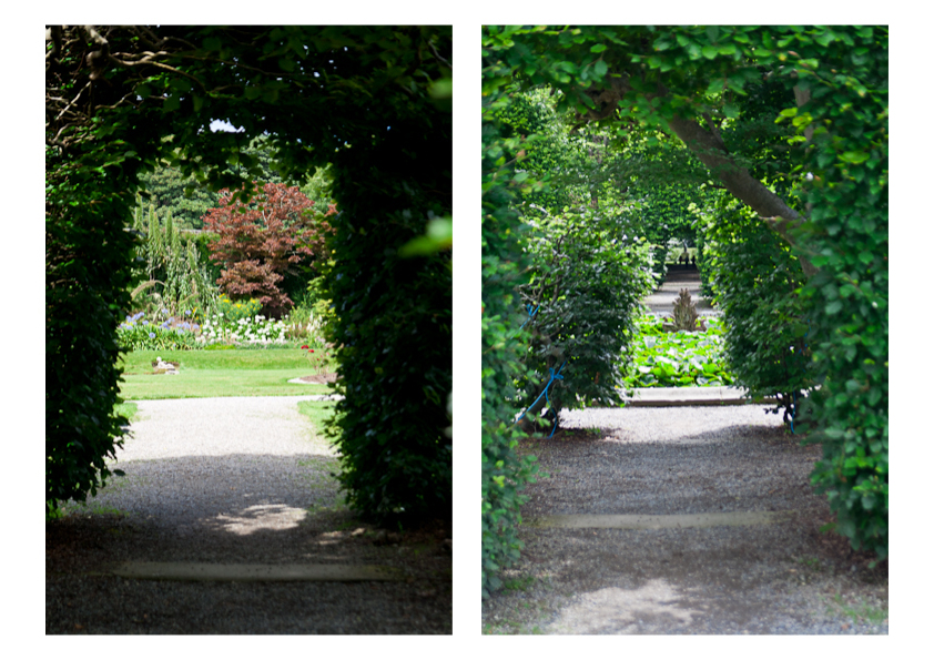 killruddery house greens