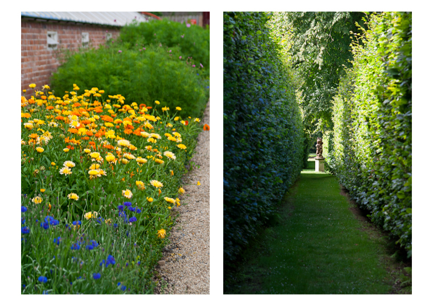 killruddery house greens