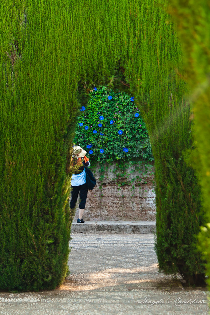 Alhabra, Granada, Spain - the garden