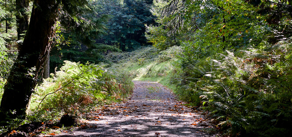 Avondale Forest Park