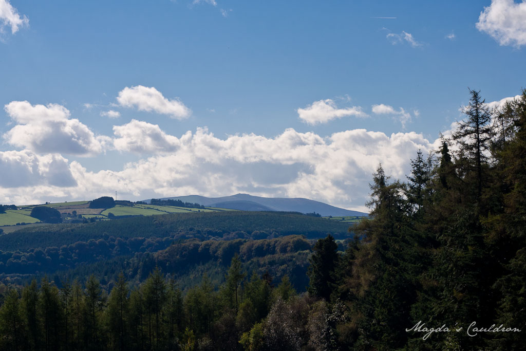 View from Avondale Forest Park