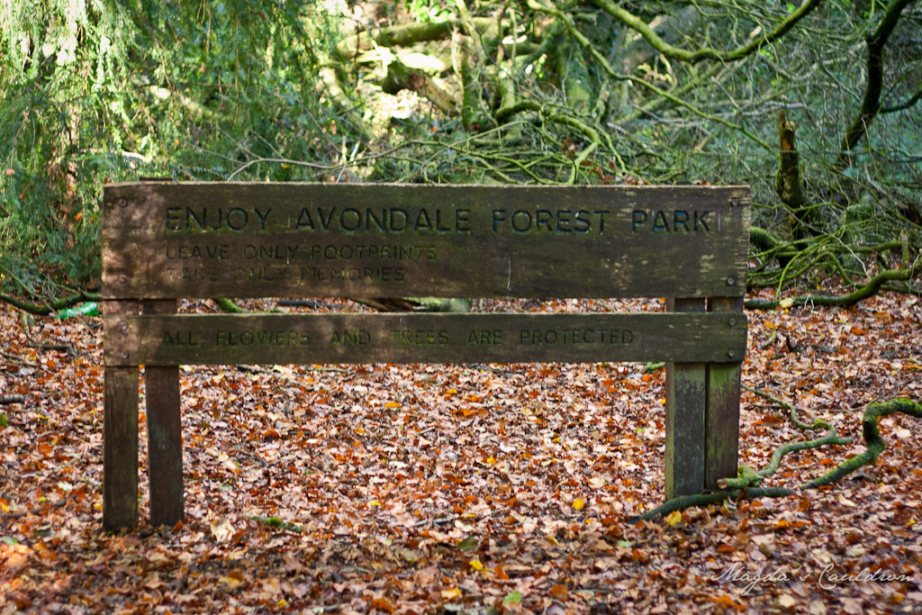Avondale Forest Park