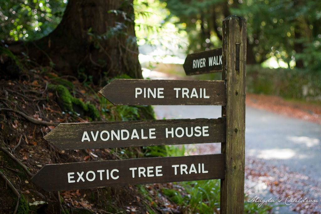 Avondale Forest Park