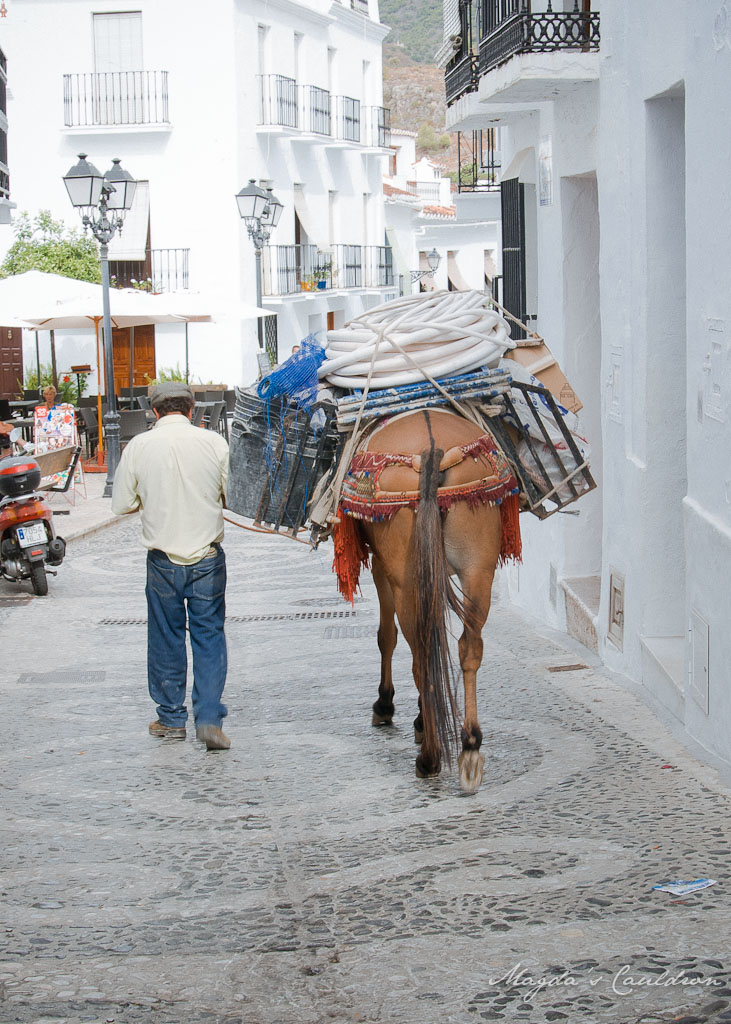 frigilliana and competa-6092