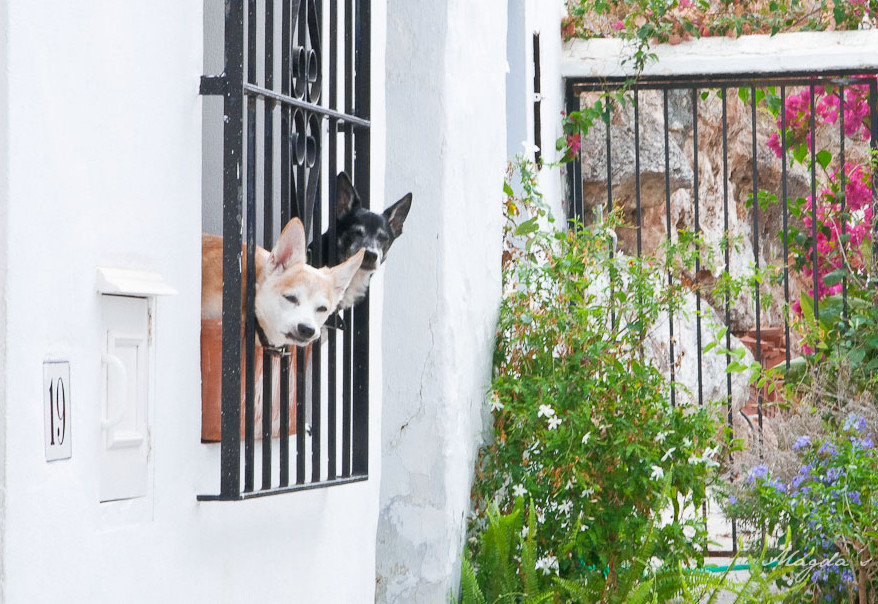 Competa and Frigiliana – the Spanish white&nbsp;villages