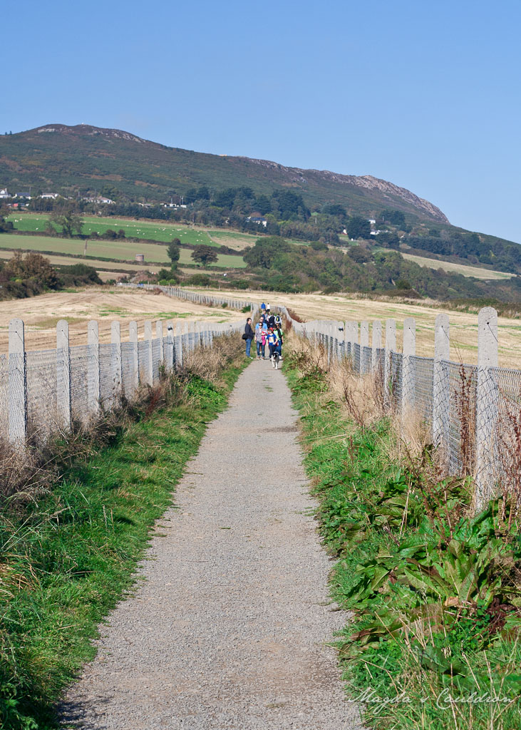 Path between Graystones and Bray