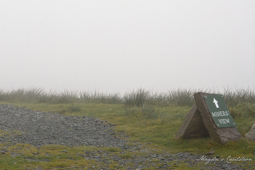 kerry in the fog