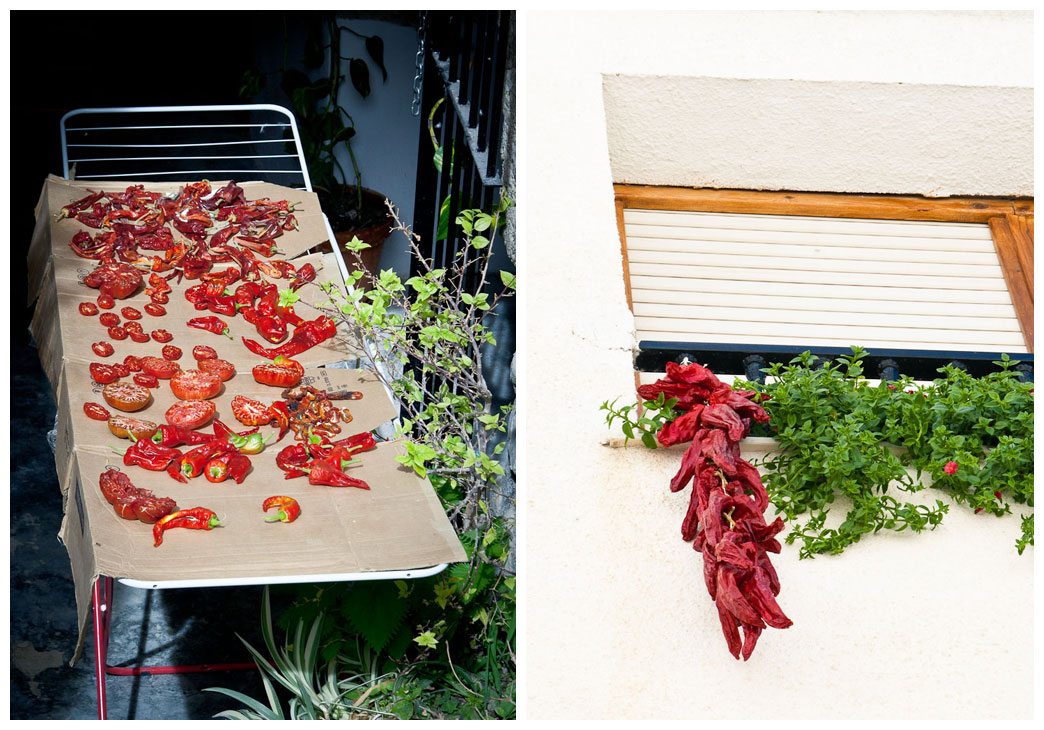 Drying peppers, Spain