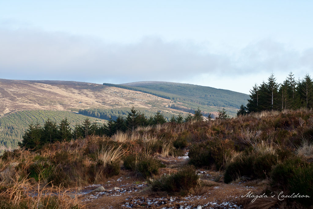 Dublin Mountain Winter-7847