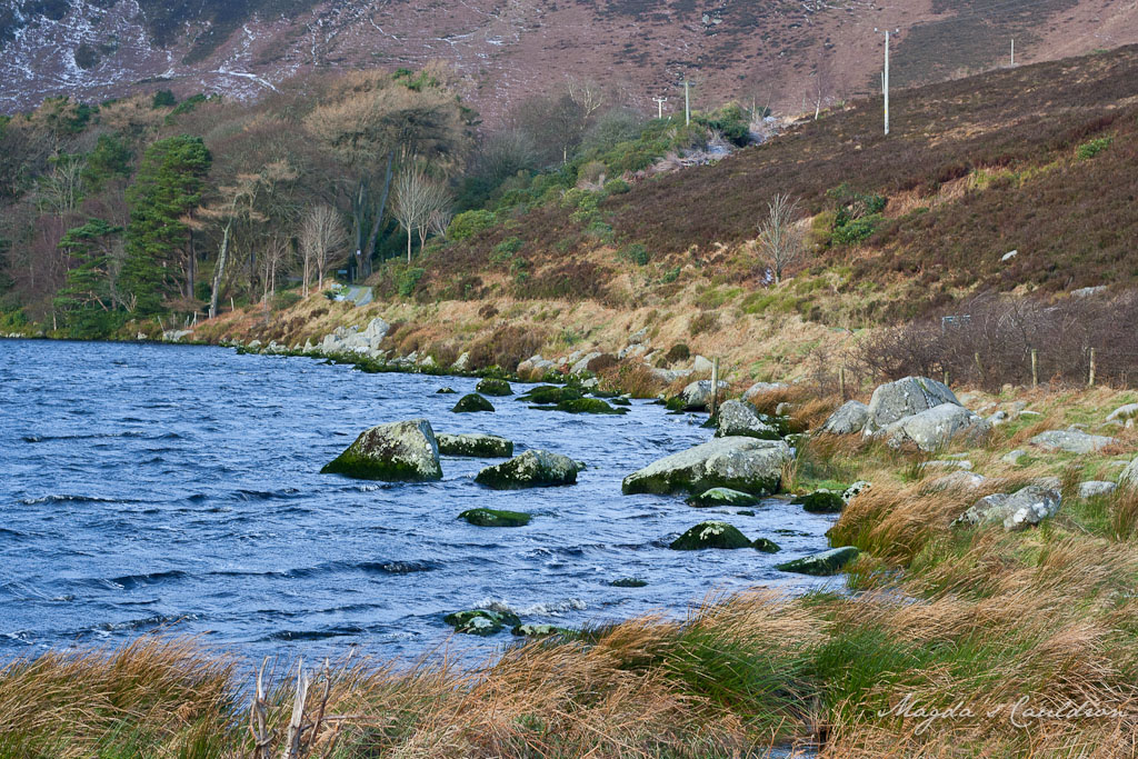 Dublin Mountain Winter-7848