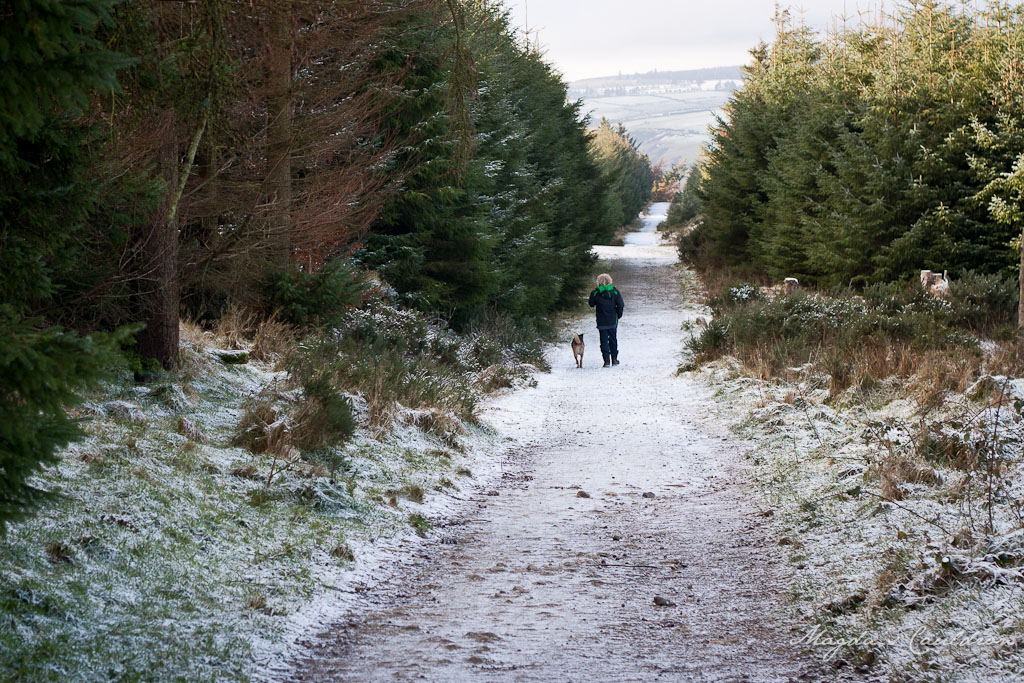 Dublin Mountain Winter-7856