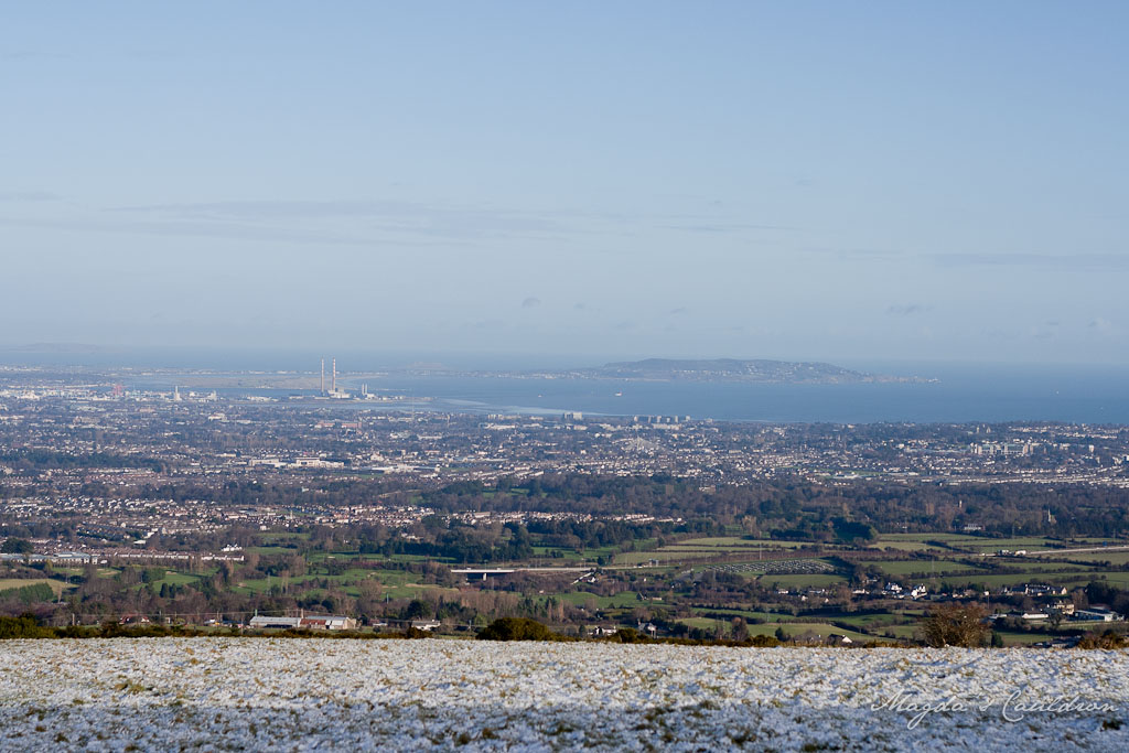 Dublin Mountain Winter-7857