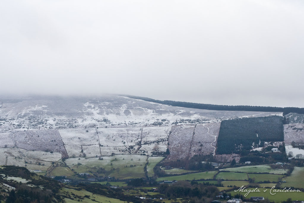 Dublin Mountain Winter-7859