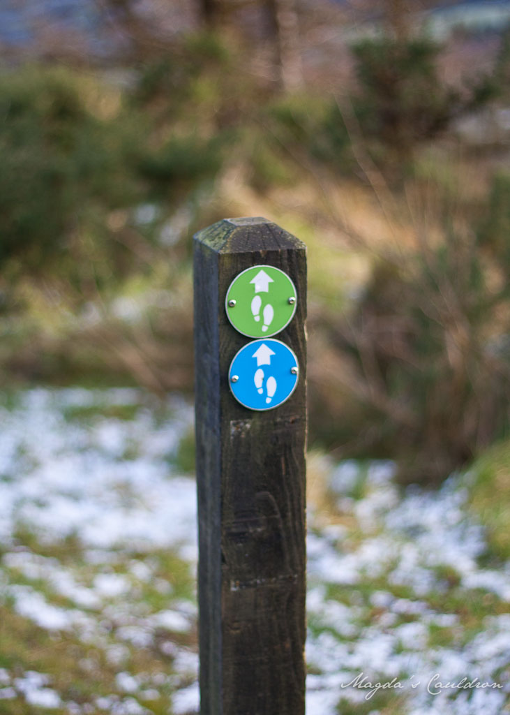 Dublin Mountain Winter-7863