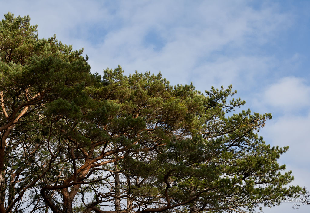 As time goes by – January&nbsp;2015