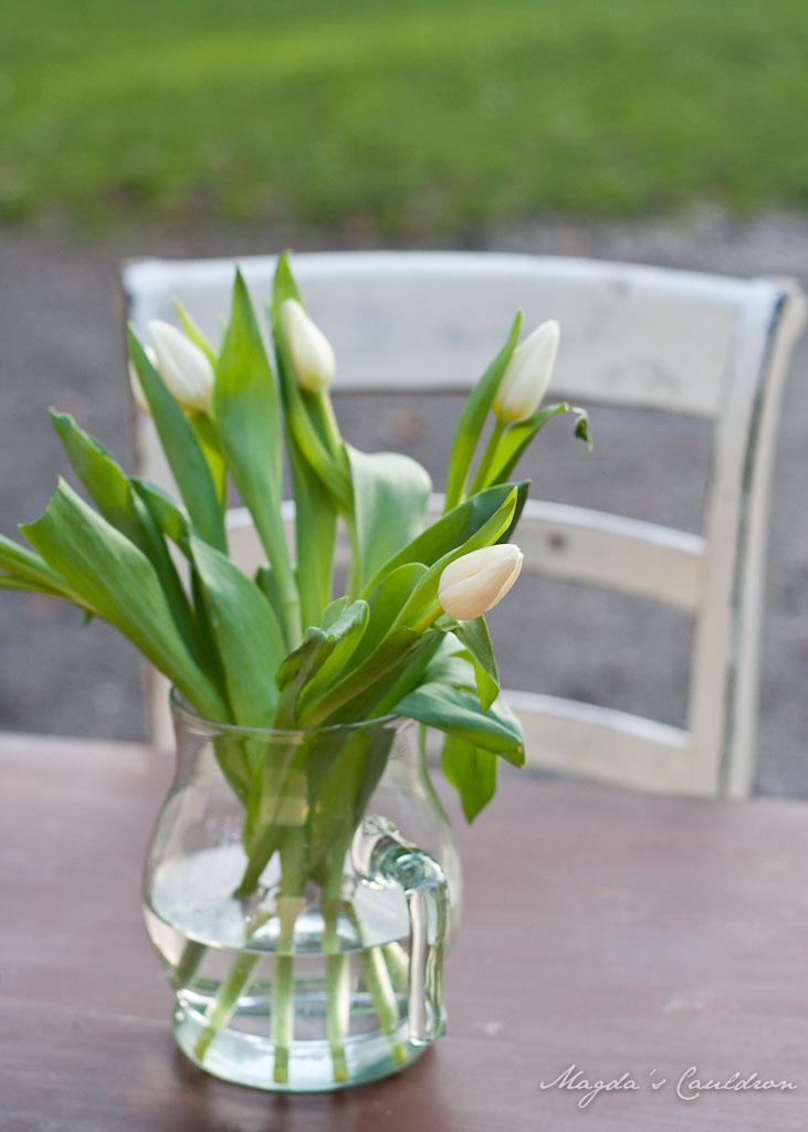 Tulipan bunch in a vase