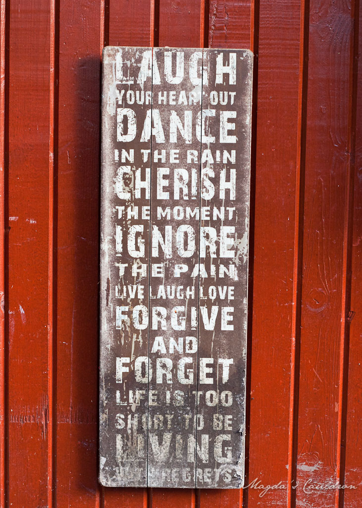 Laugh your heart out, dane in the rain, cherish the moment, ignore the pain, , love, laugh, firgive and forget life is too short to be be living with regrets