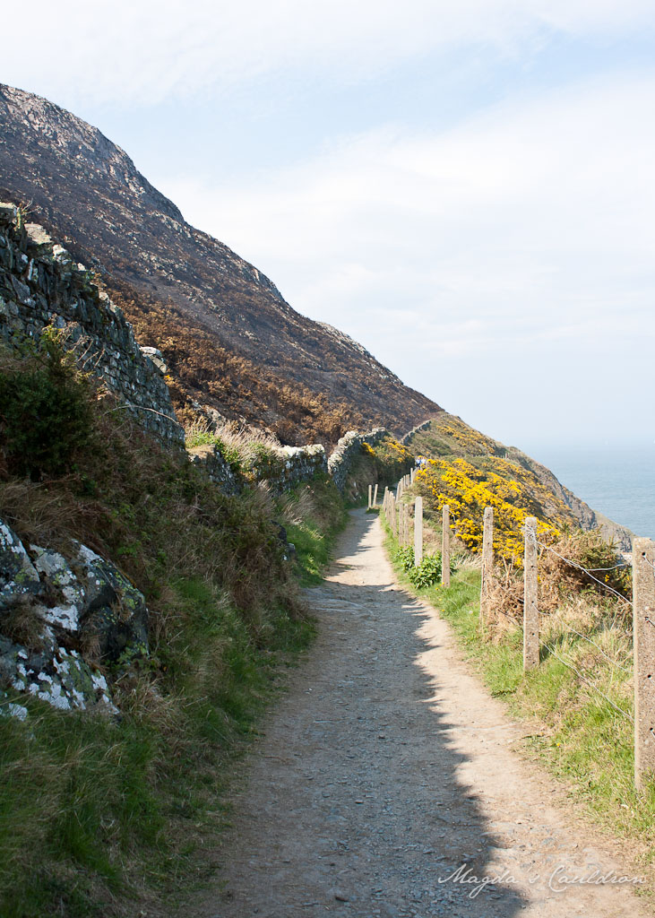 Cliffs between Greystones and Bray