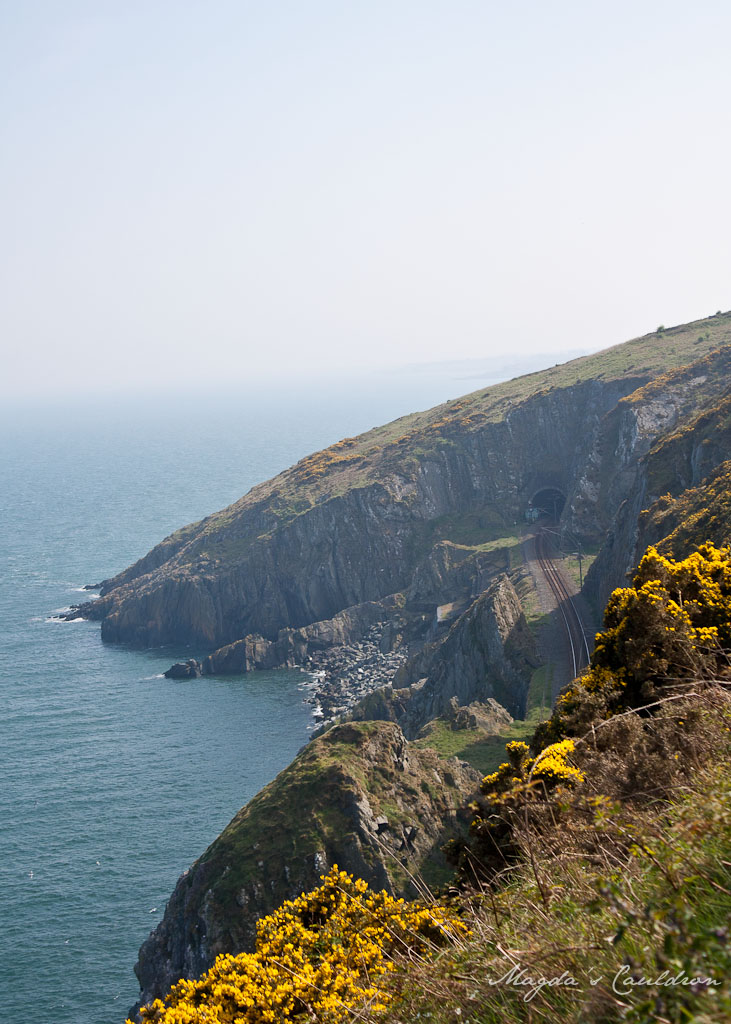 Cliffs between Greystones and Bray