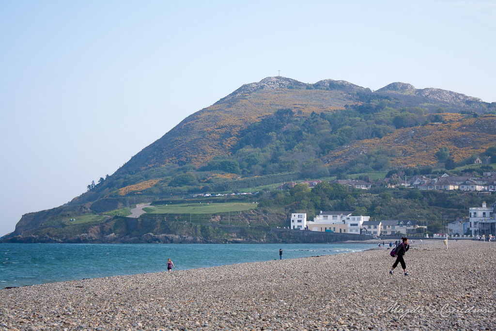Bray