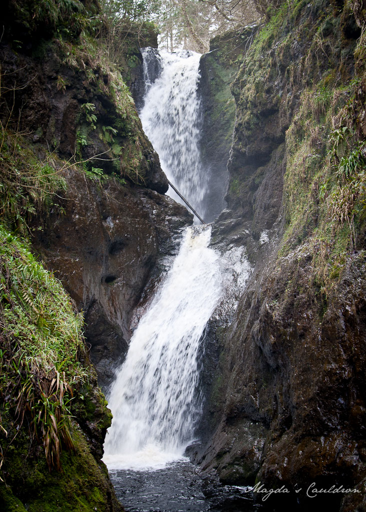 Glenariff Forest Park