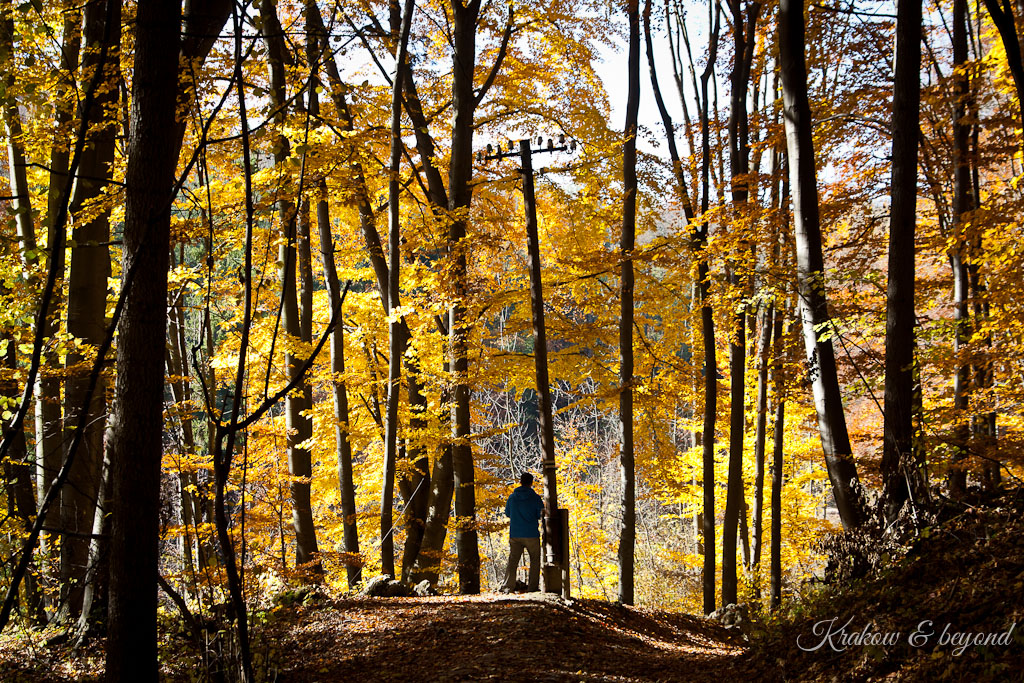 I miss you (there is a recipe at the&nbsp;end)